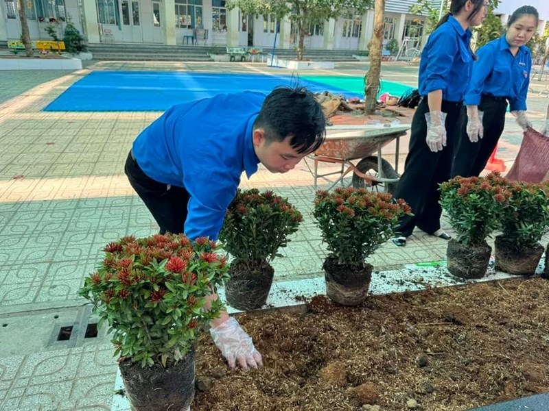 Công trình thanh niên năm học 2023 - 2024: “Trồng cây xanh - Tạo cảnh quan môi trường xanh, sạch, đẹp trong trường học”